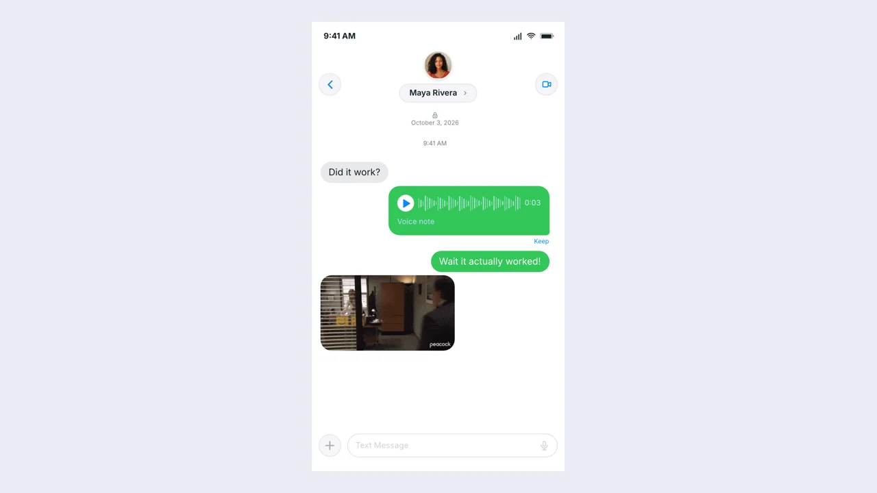 Fake Text Message example: a finished fictional chat scene